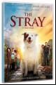 The Stray