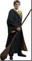 Harry Potter - Cedric Diggory Deluxe 1:6 Scale (Action Figure)